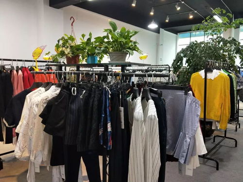 国庆长假,为何嵊州新昌人齐聚一地?真相竟是这样